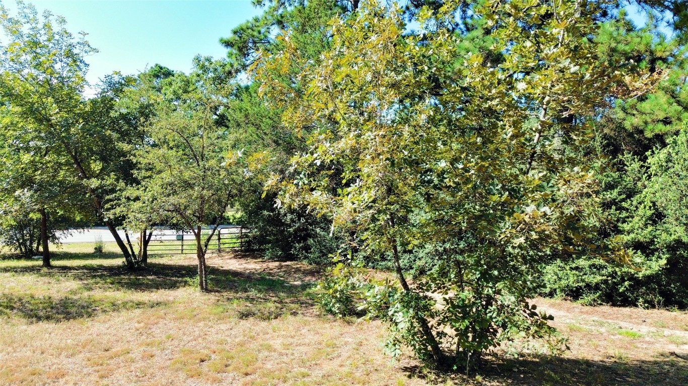 109 Travis Road Paige, TX 78659 - Photo 4 of 39 a view of some trees in a yard