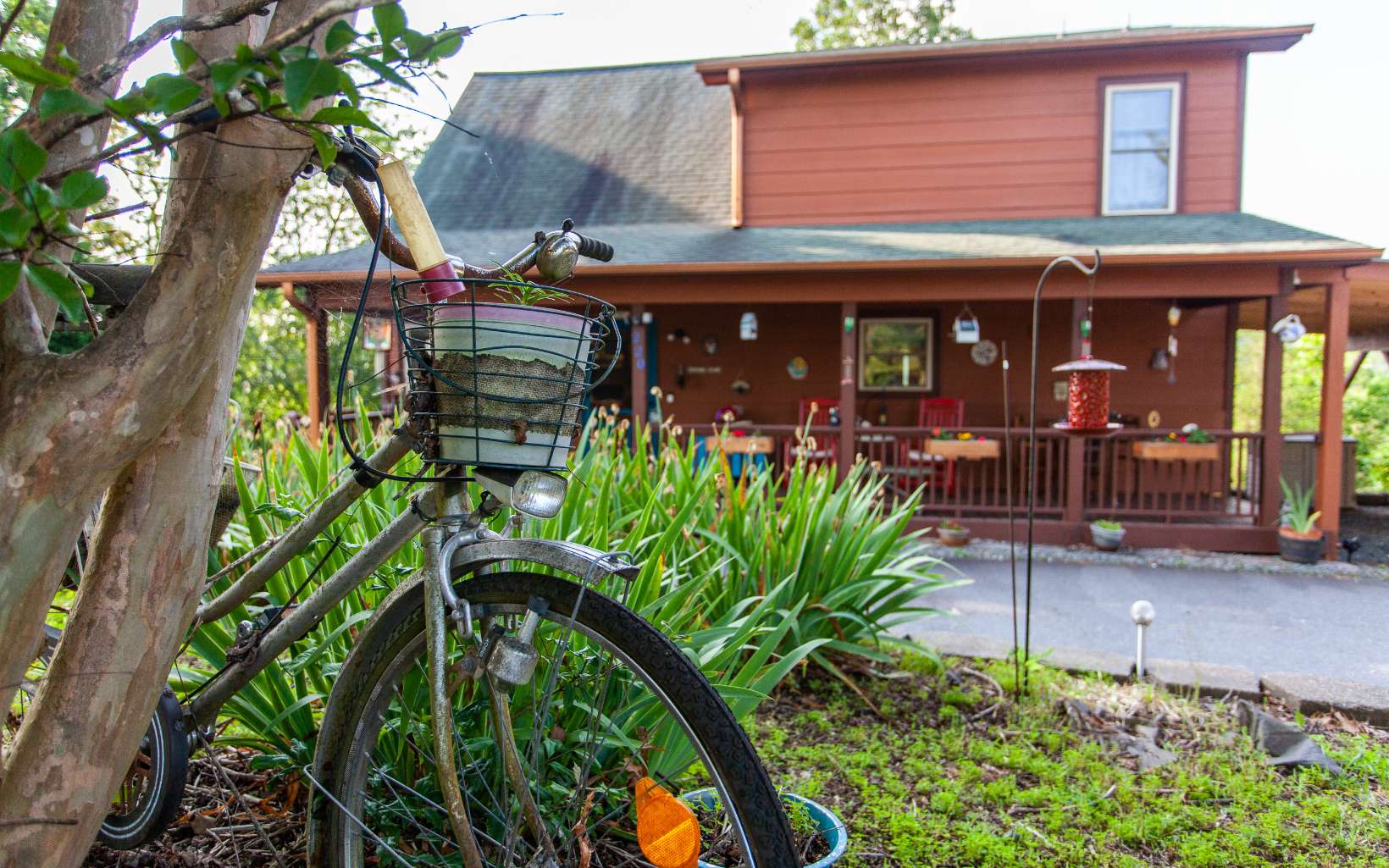 220 Pin Oak Ridge Murphy, NC 28906 - Photo 17 of 50 Additional View