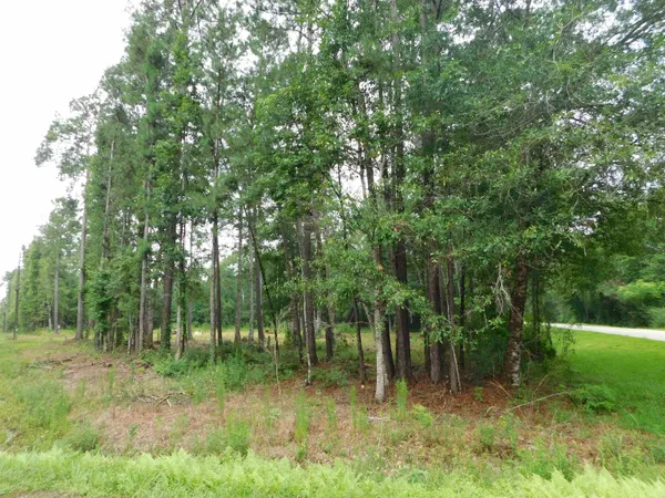 $45,000 | 4783 Bob White Drive, Silsbee, TX 77656