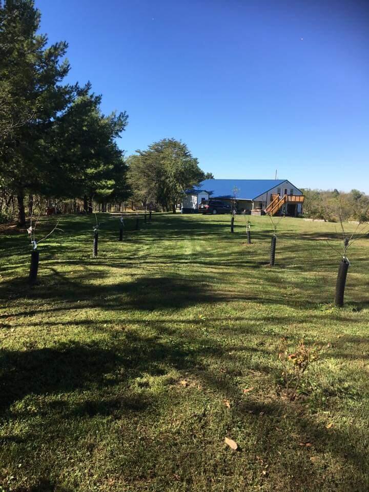 220 Old Eagle Tunl Road Dry Ridge, KY 41035 - Photo 33 of 50