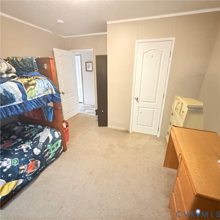 25585 Sawmill Road Carson, VA 23830 - Photo 15 of 24