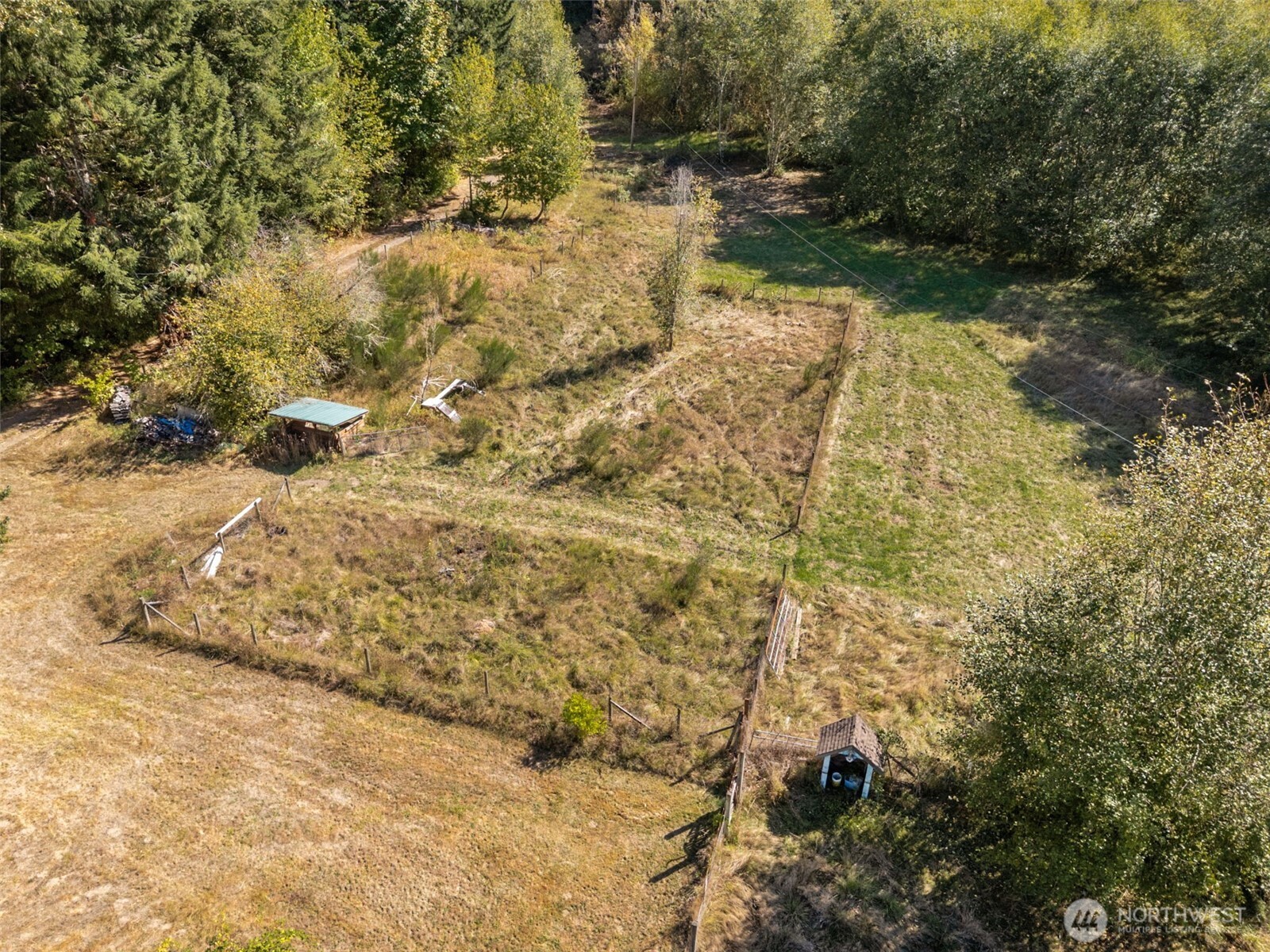 662 Cline Road Randle, WA 98377 - Photo 28 of 36 a view of a yard with trees