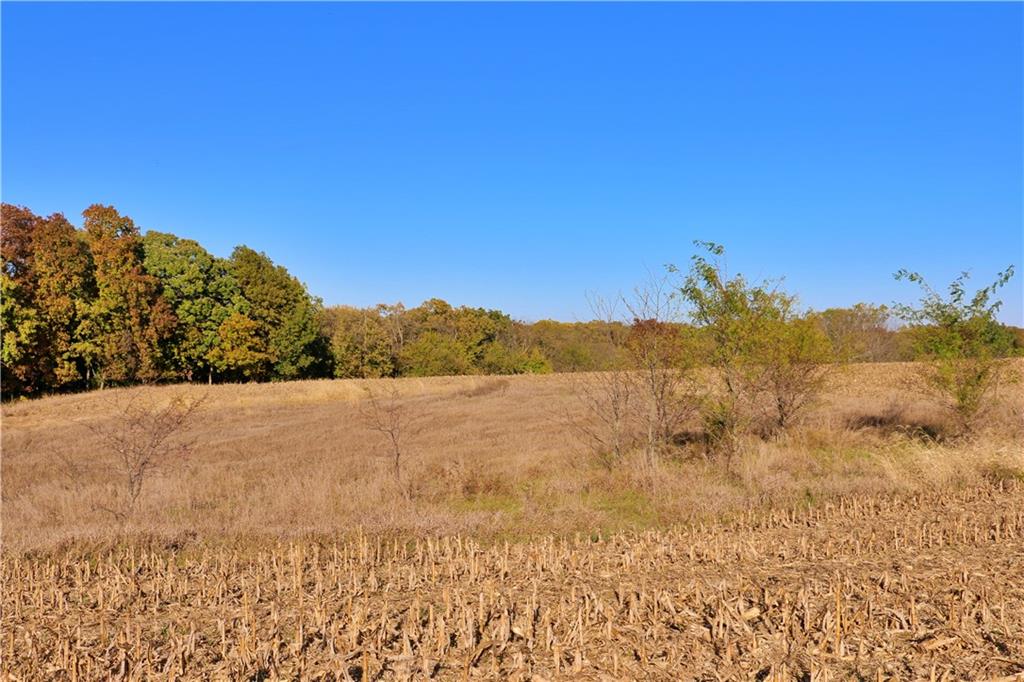 19904 Rattlesnake Road Richmond, MO 64085 - Photo 66 of 99 Gallery Image 66