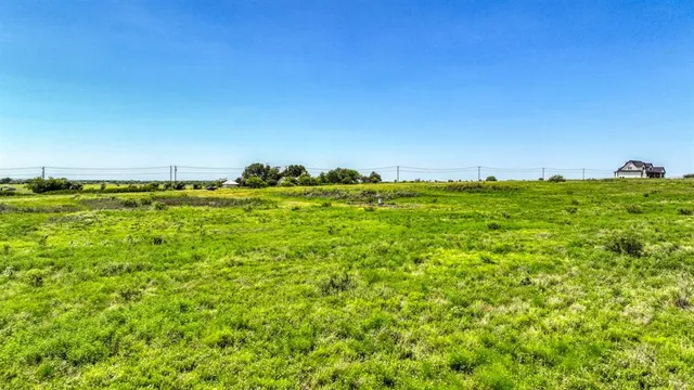 a view of a big yard with large trees