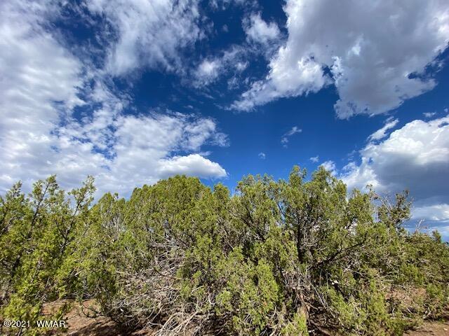 9283 Chimisa Road Show Low, AZ 85901 - Photo 13 of 15 Gallery Image 13