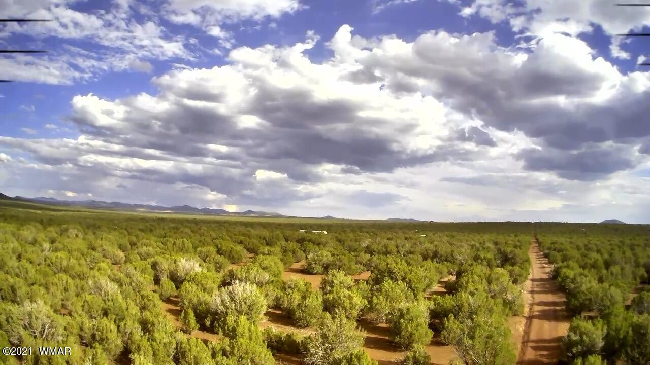 9283 Chimisa Road Show Low, AZ 85901 - Photo 9 of 15 Gallery Image 9