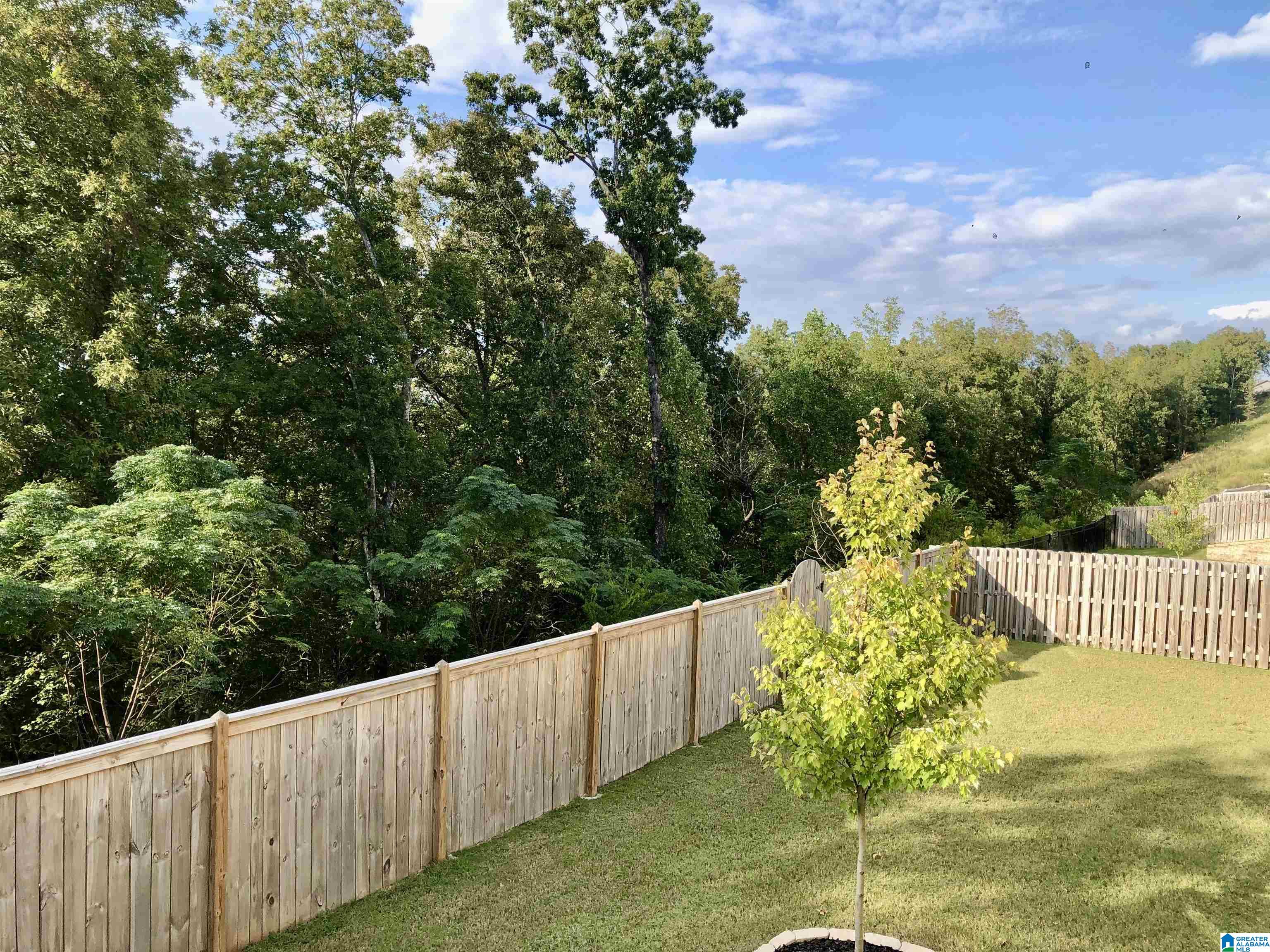 1101 Camellia Ridge Drive Pelham, AL 35124 - Photo 38 of 62
