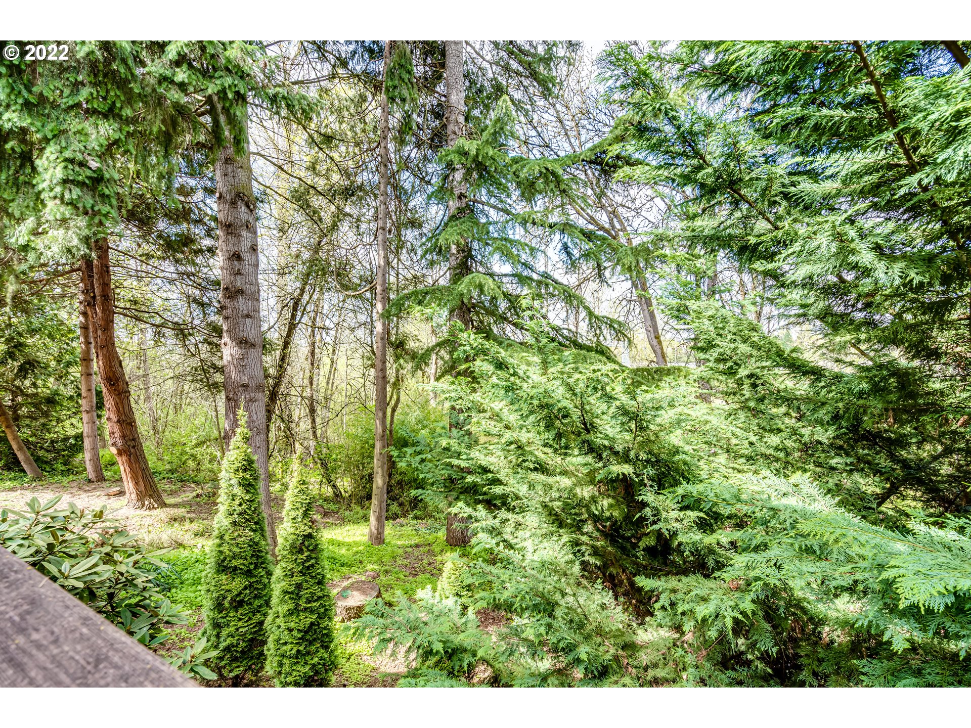 2220 Ridgeway Drive Eugene, OR 97401 - Photo 28 of 32 a view of a yard