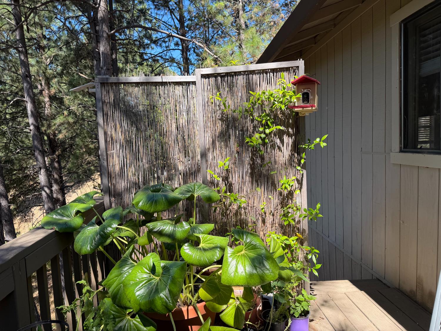 424 Catskill Drive Colfax, CA 95713 - Photo 14 of 25