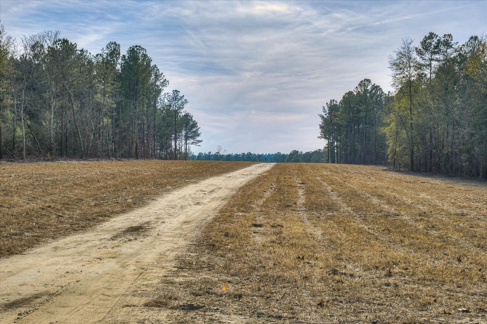 257 Biscayne Road Aiken, SC 29803 - Photo 36 of 37