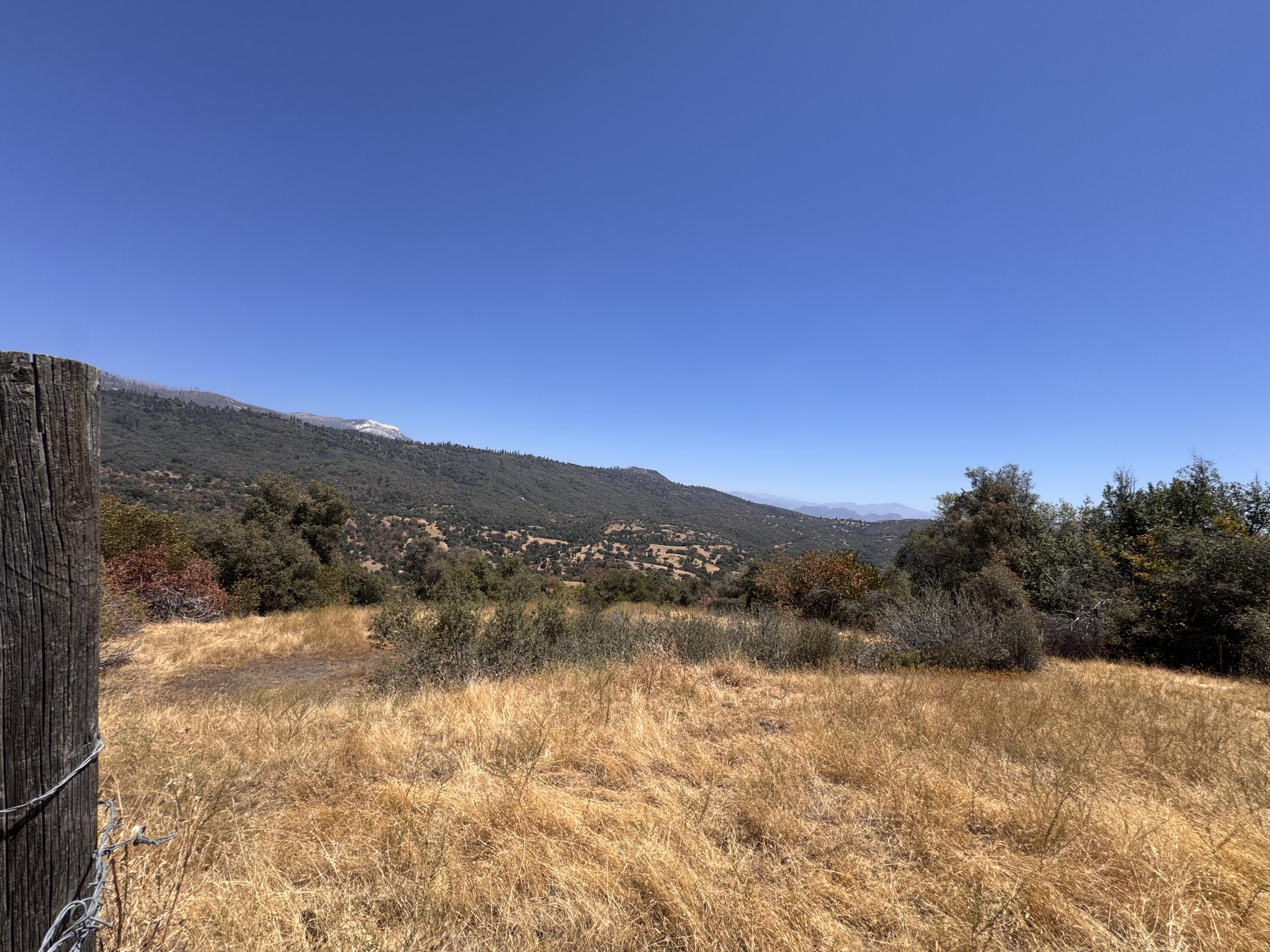0 Visalia Road Miramonte, CA 93603 - Photo 3 of 13 IMG_1655