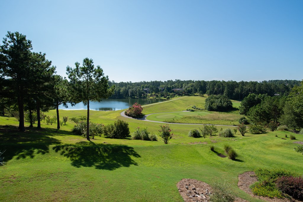 372 Forest Pines Road Aiken, SC 29803 - Photo 44 of 52 Breathtaking View from Rear of House