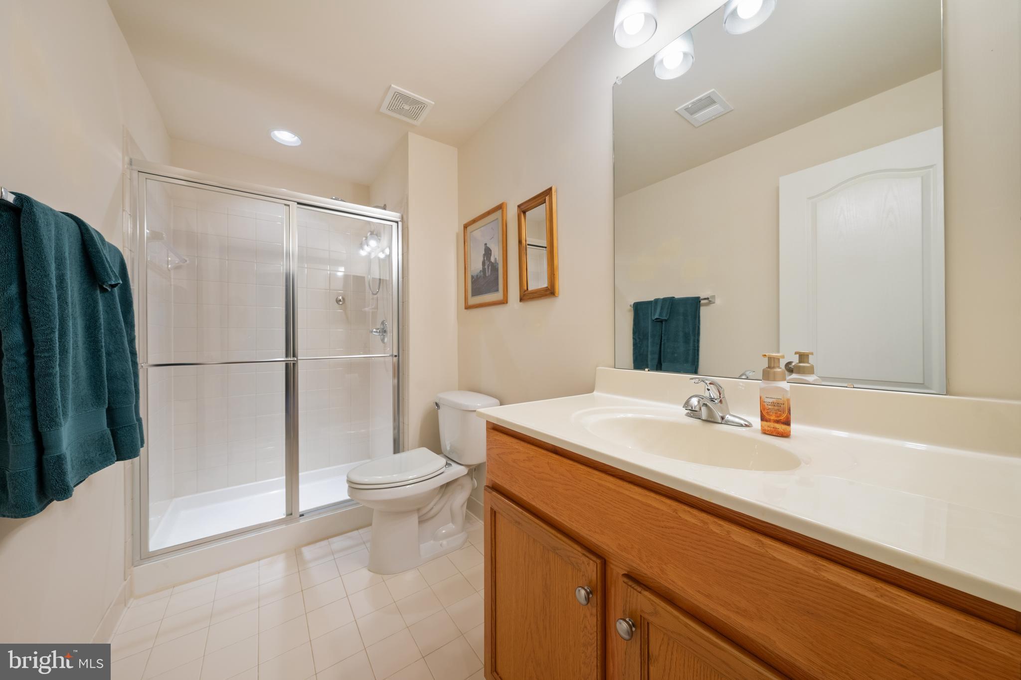 400 Shipyard Way Solomons, MD 20688 - Photo 64 of 100 Lower Level Full Bath