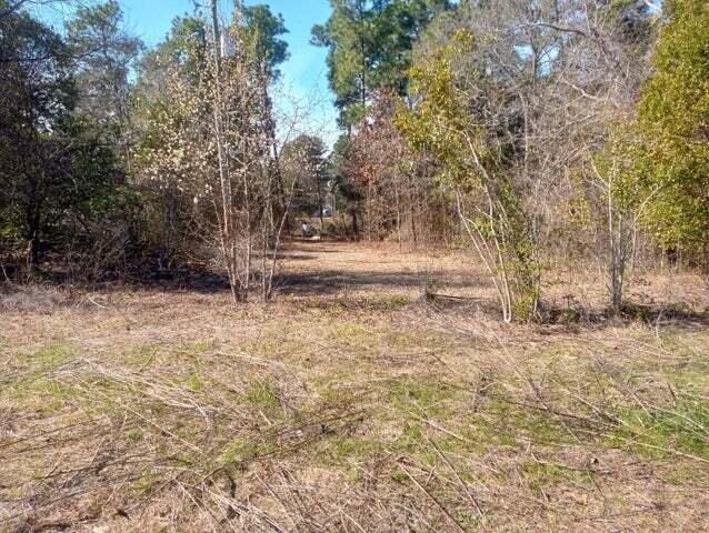 3801 Shari Street Hephzibah, GA 30815 - Photo 4 of 5 Corner Lot 2