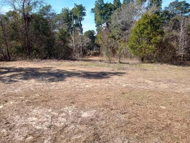 3801 Shari Street Hephzibah, GA 30815 - Photo 5 of 5 Corner Lot