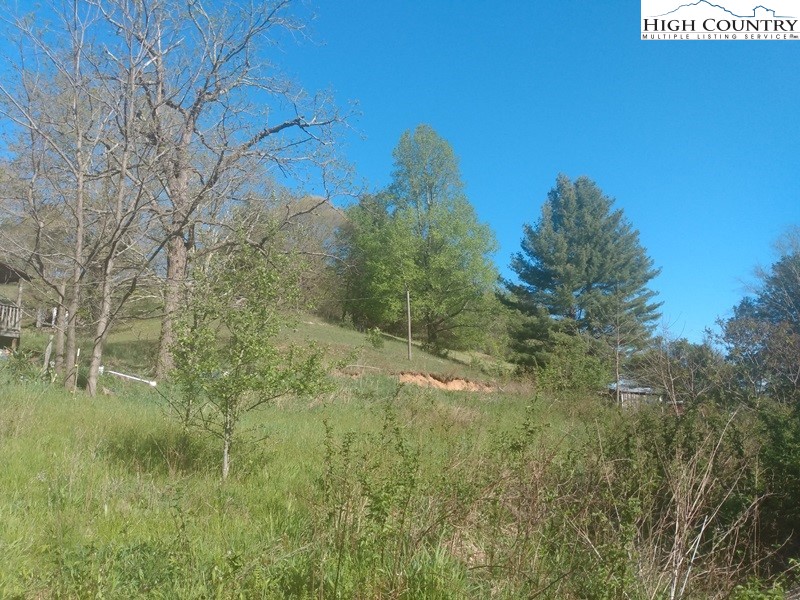 2202 Bear Wallow Road Whitetop, VA 24292 - Photo 22 of 28 a view of a lush green space