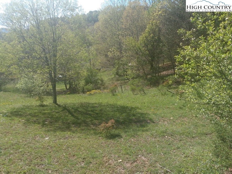 2202 Bear Wallow Road Whitetop, VA 24292 - Photo 7 of 28 a view of a forest with trees in the background