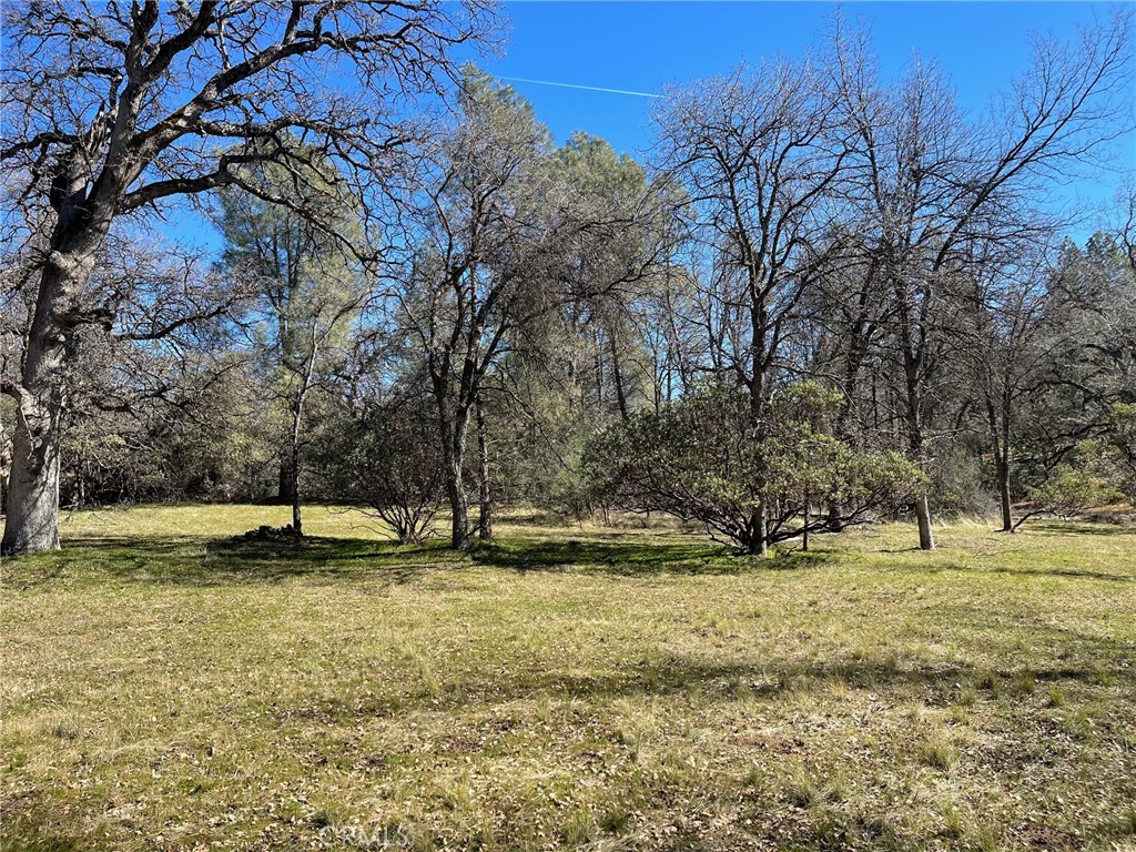 0 Sunset Drive Coarsegold, CA 93614 - Photo 1 of 1 a view of a yard with a tree