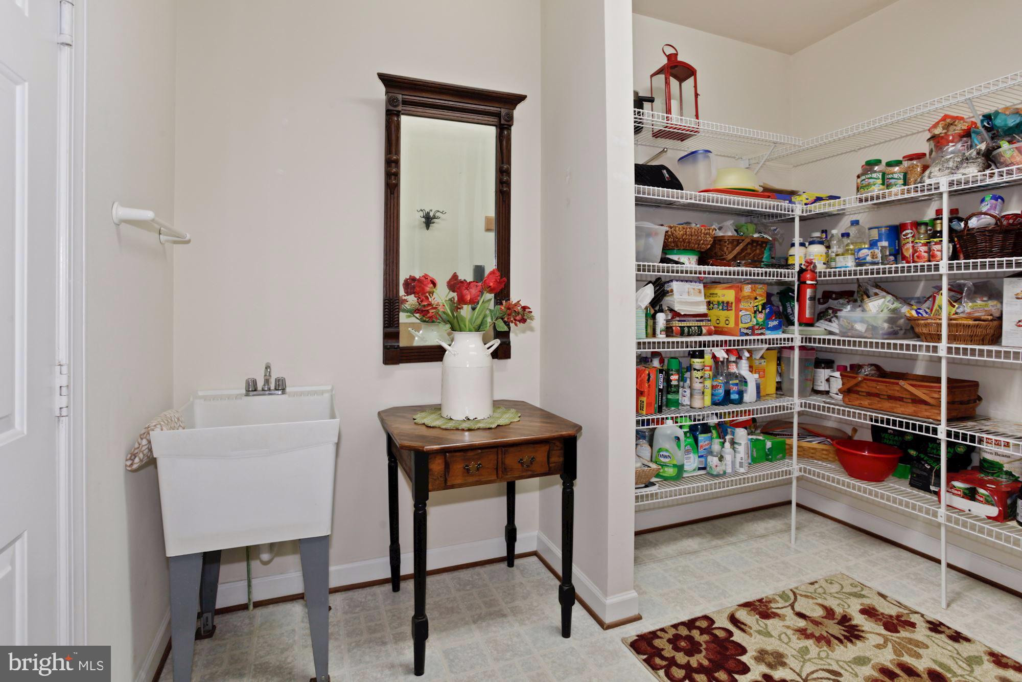 9780 Meetze Road Midland, VA 22728 - Photo 28 of 79 ENORMOUS WALK IN Pantry!