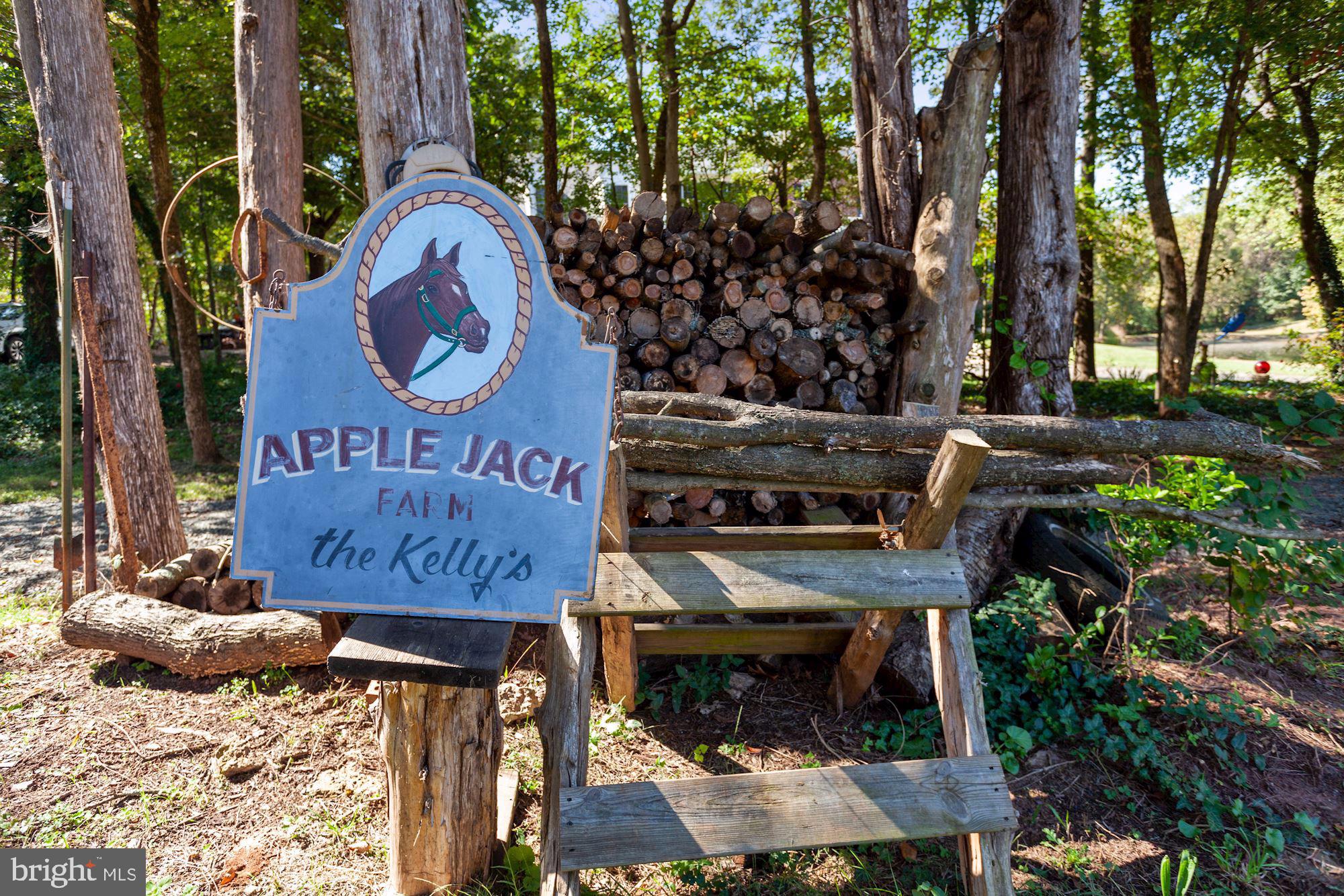 9780 Meetze Road Midland, VA 22728 - Photo 5 of 79 APPLEJACK FARM named after a HORSE!