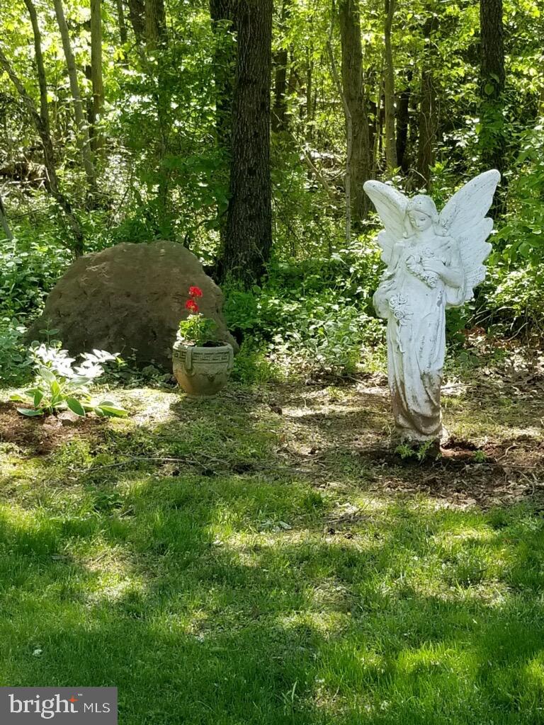 9780 Meetze Road Midland, VA 22728 - Photo 58 of 79 Peaceful GARDEN!