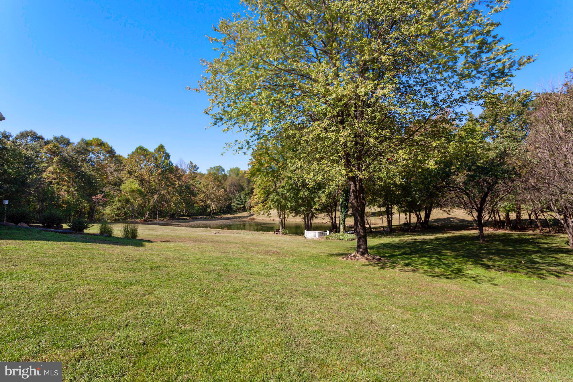 9780 Meetze Road Midland, VA 22728 - Photo 59 of 79 Open space.
