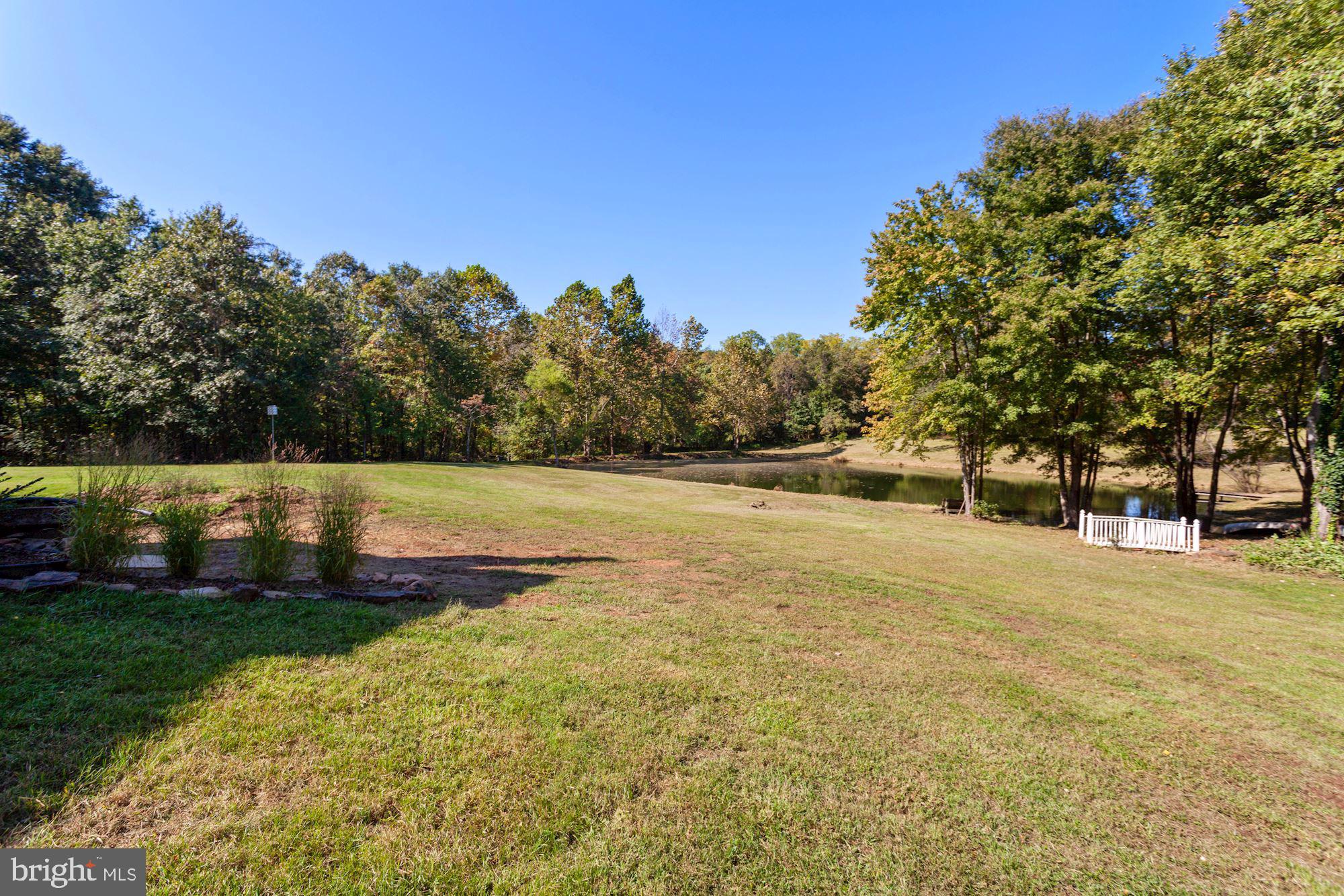 9780 Meetze Road Midland, VA 22728 - Photo 60 of 79 Trees
