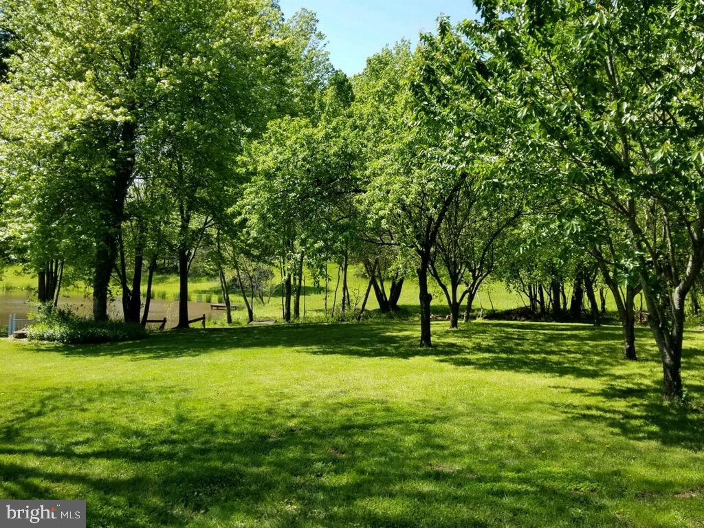 9780 Meetze Road Midland, VA 22728 - Photo 64 of 79 So Green!