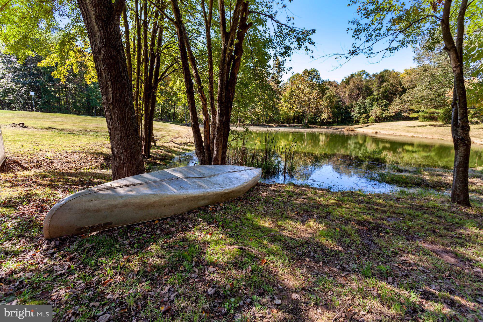 9780 Meetze Road Midland, VA 22728 - Photo 65 of 79 Stocked Pond for Fishing and Canoeing!