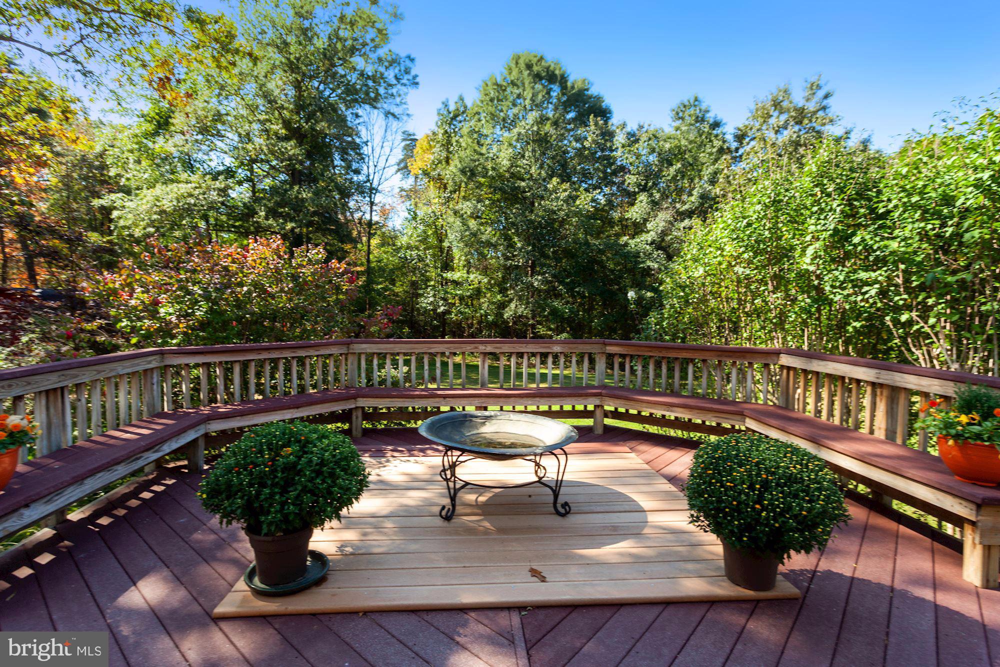 9780 Meetze Road Midland, VA 22728 - Photo 70 of 79 Huge Deck!
