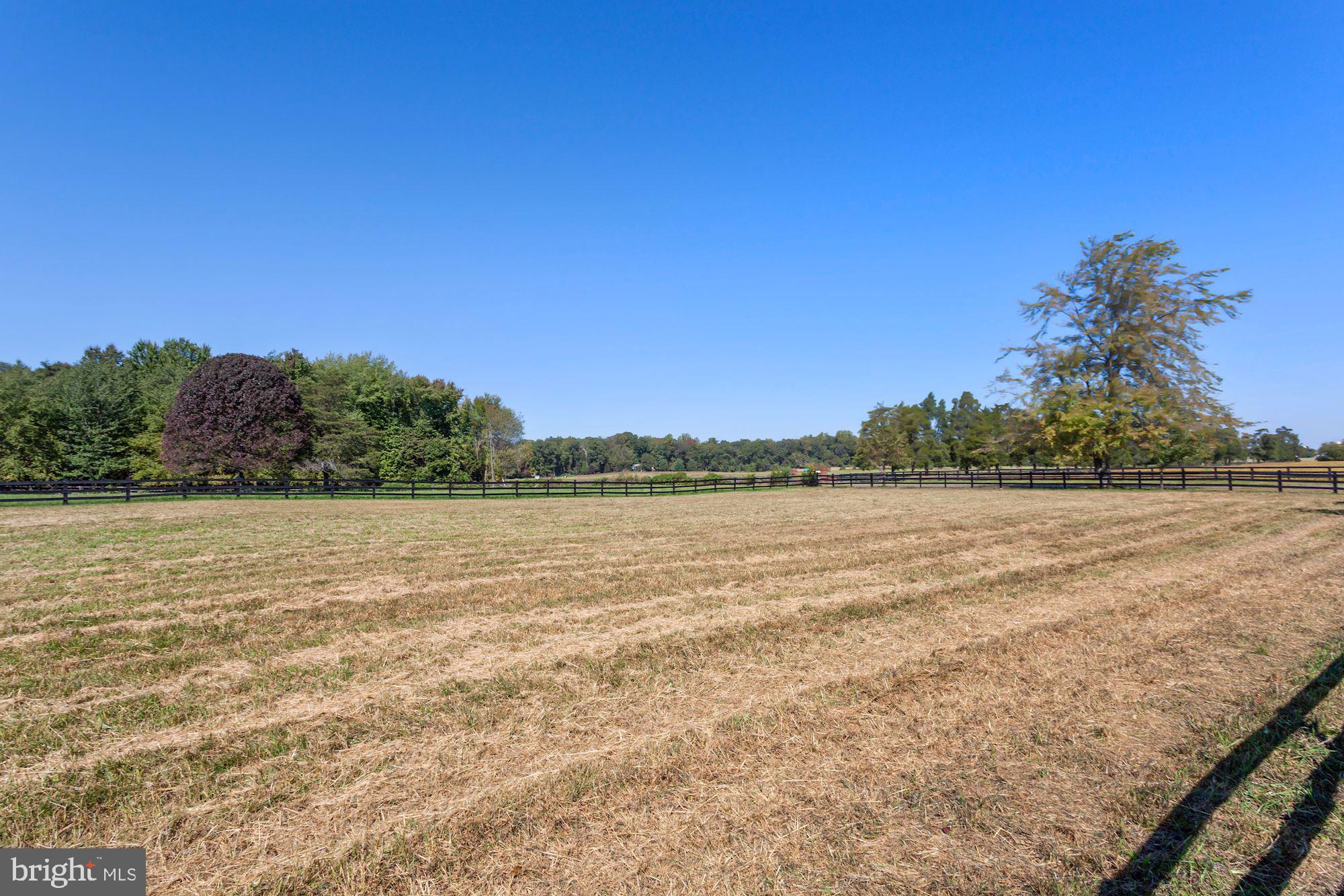 9780 Meetze Road Midland, VA 22728 - Photo 10 of 79 Paddocks for your horses!