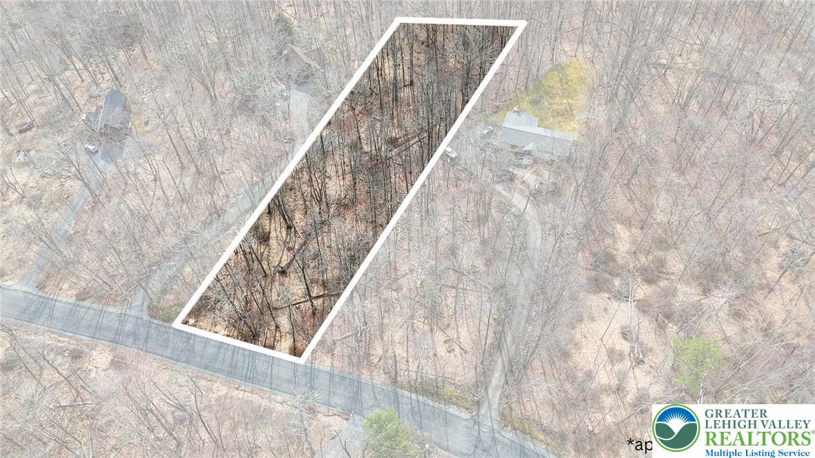 307 Blue Ridge Drive Cresco, PA 18326 - Photo 2 of 7 Approximate Lot Lines