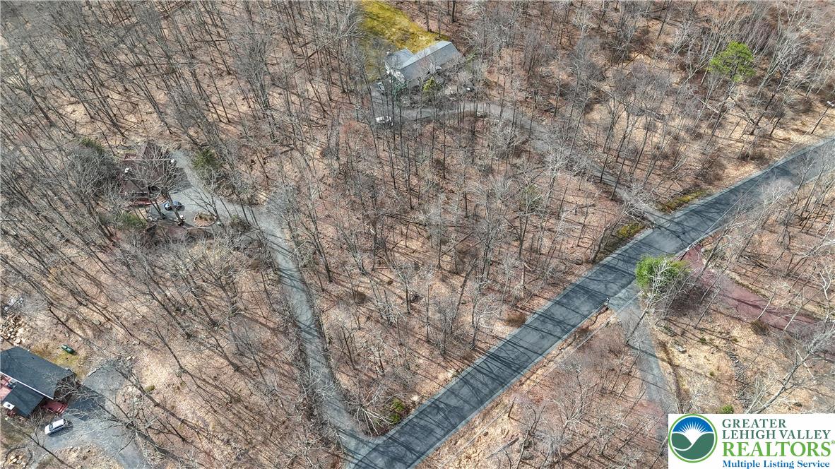 307 Blue Ridge Drive Cresco, PA 18326 - Photo 5 of 7 Aerial View