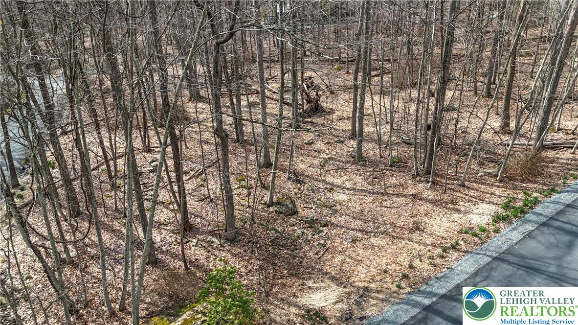 307 Blue Ridge Drive Cresco, PA 18326 - Photo 6 of 7 Street View