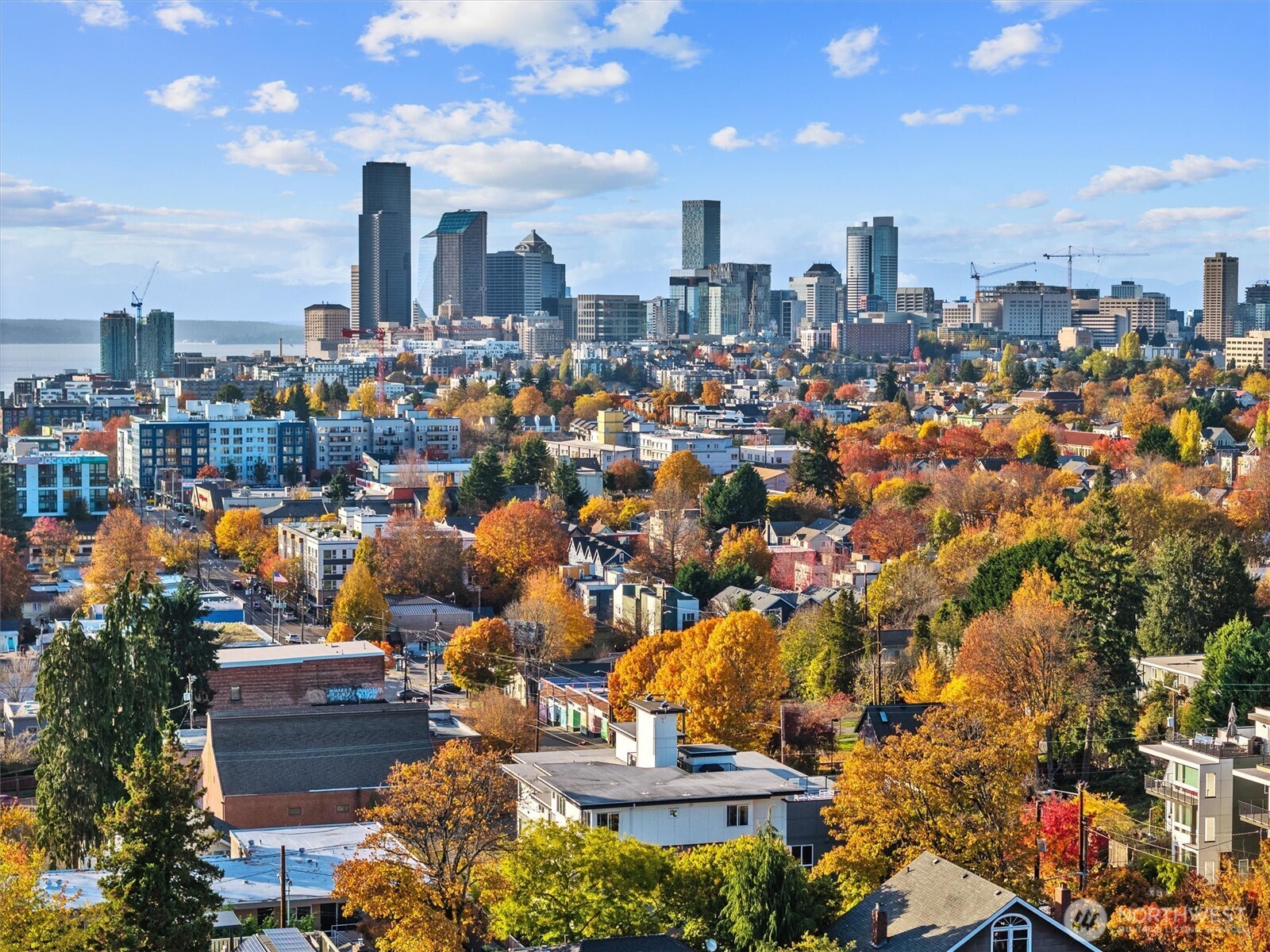 2901 South Jackson Street, Unit 507 Seattle, WA 98144 - Photo 20 of 29 a view of a city with tall buildings