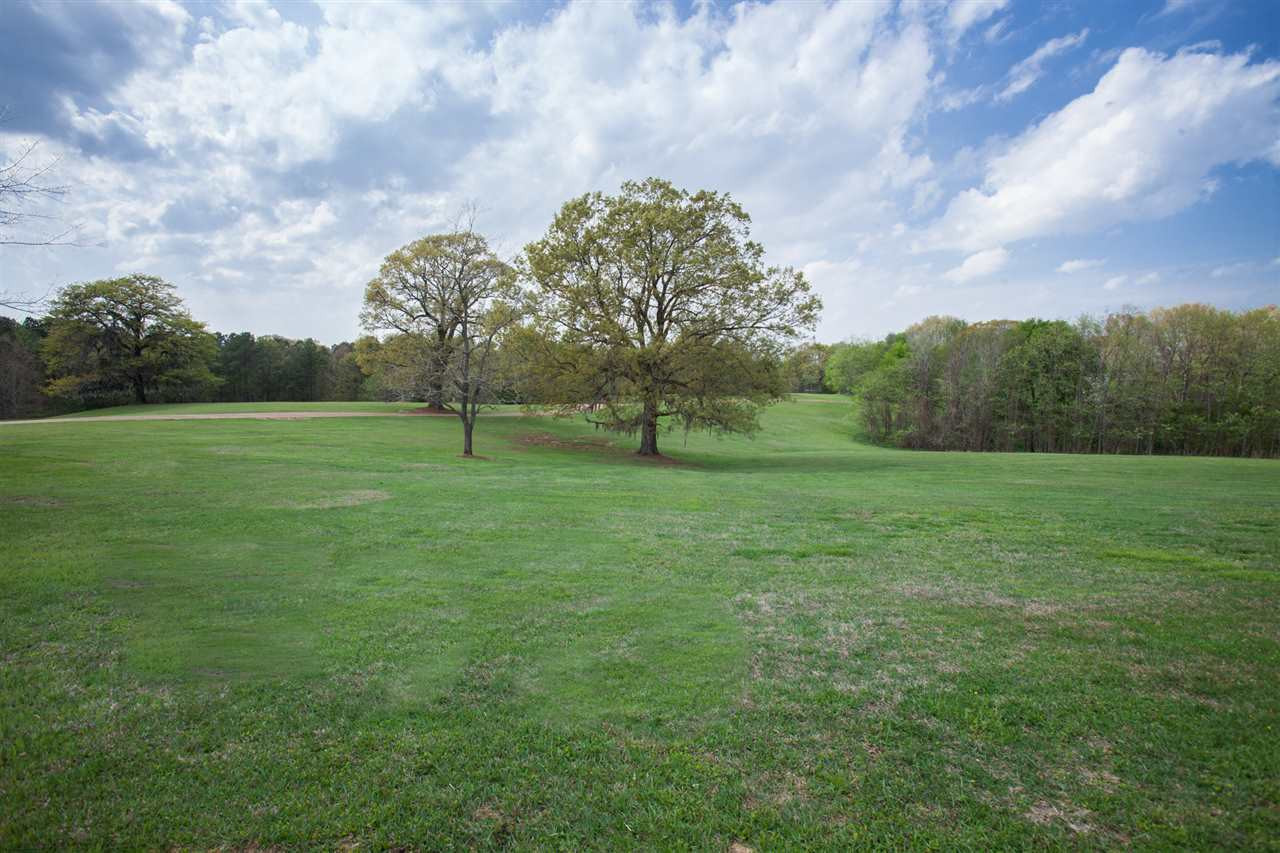 400 Chapel Hill Road Flora, MS 39071 - Photo 49 of 50 Photo 49