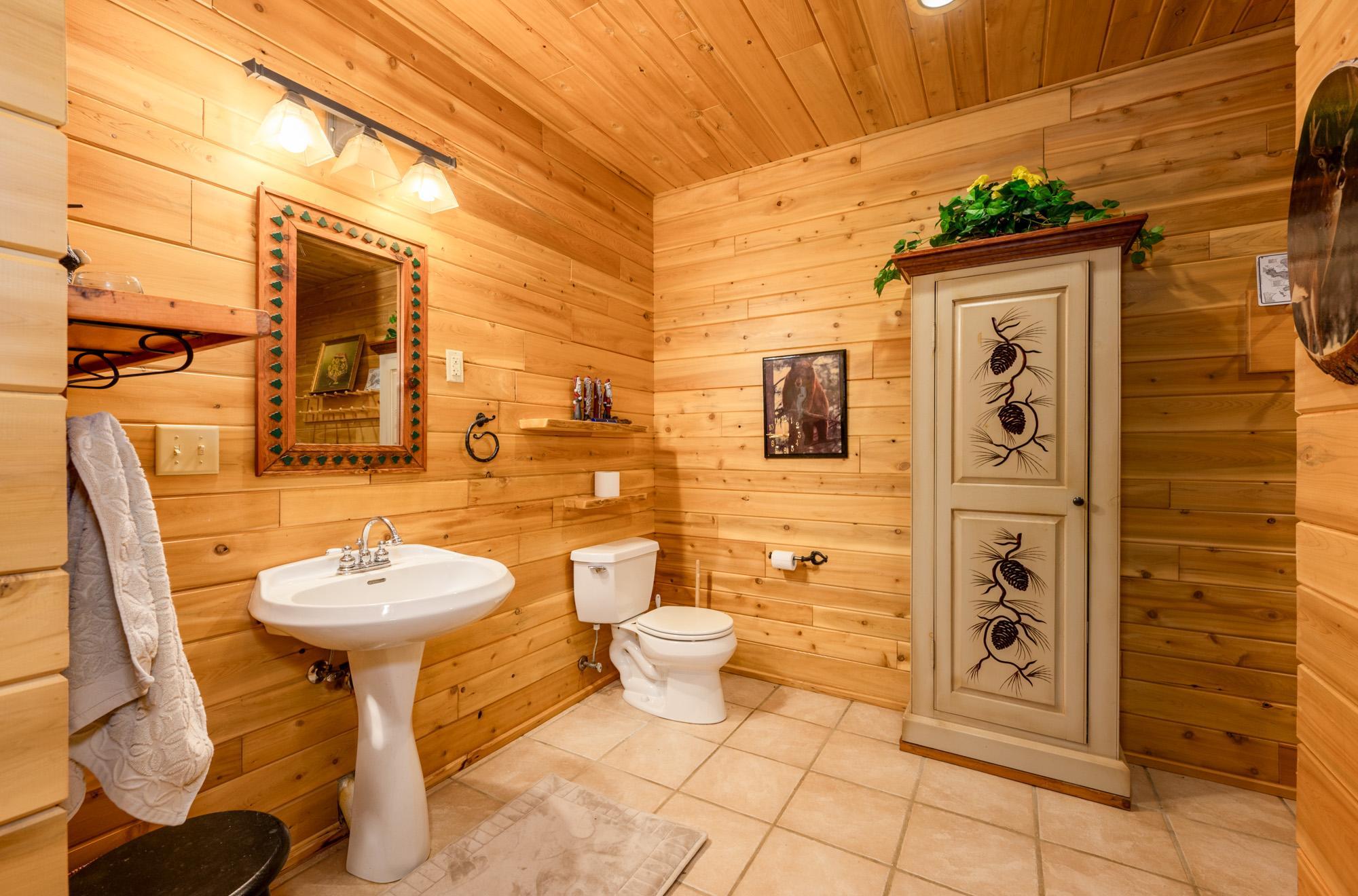 51748 Pine Point Lane Bigfork, MN 56628 - Photo 45 of 80