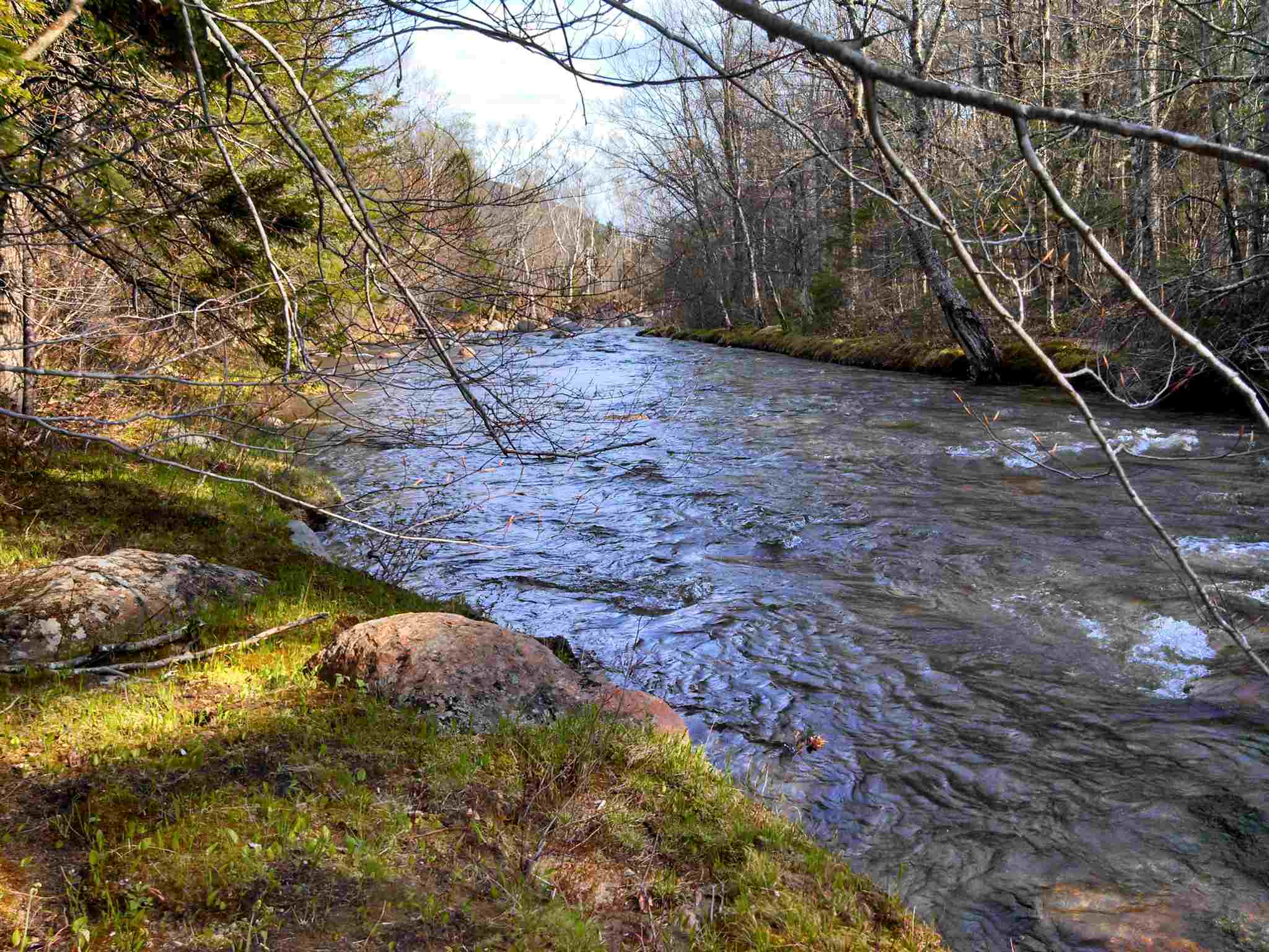1 Whipple Drive Jackson, NH 03846 - Photo 2 of 17
