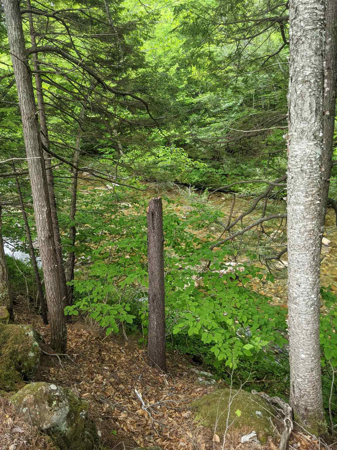 1 Whipple Drive Jackson, NH 03846 - Photo 11 of 17