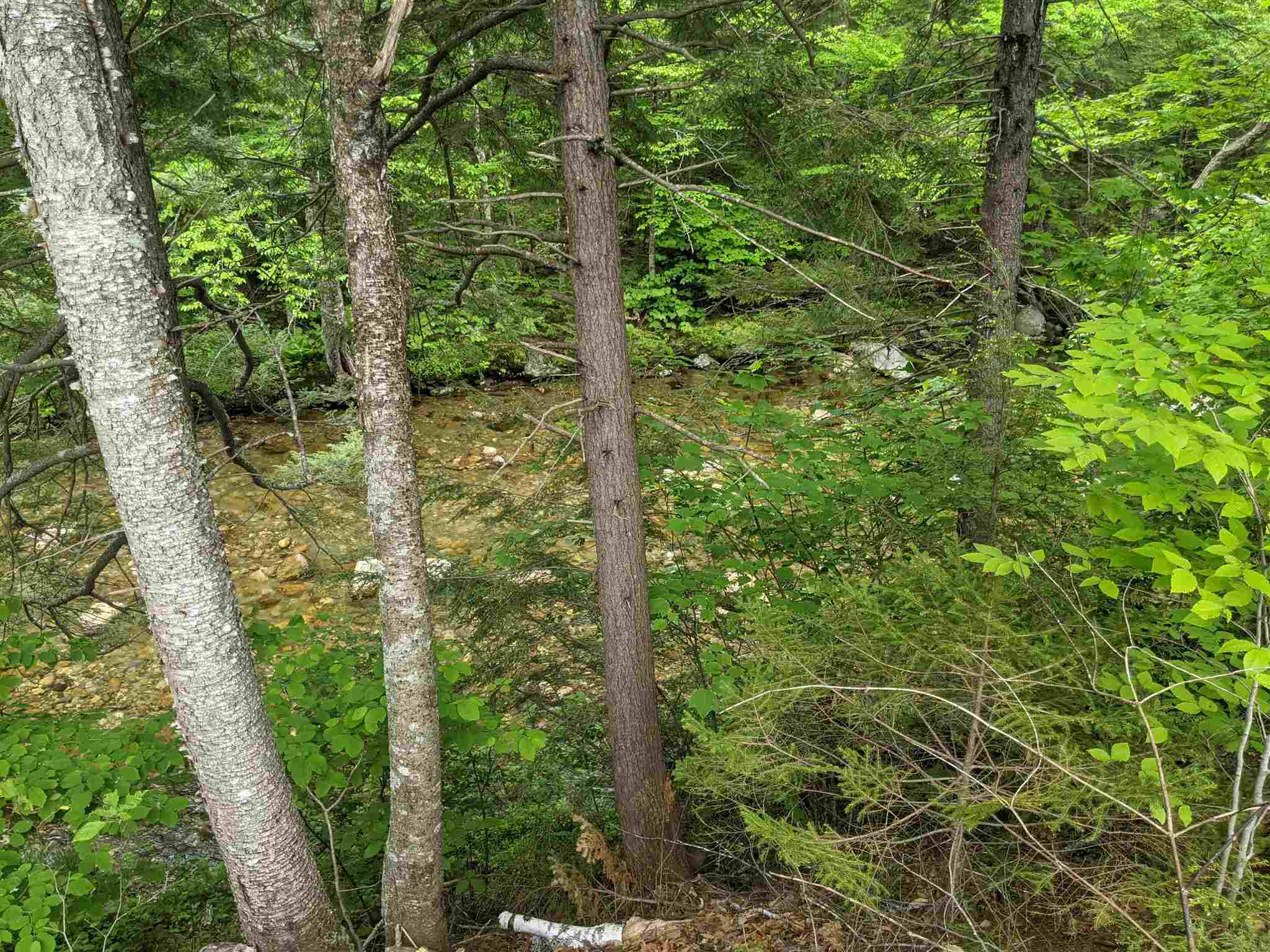 1 Whipple Drive Jackson, NH 03846 - Photo 12 of 17