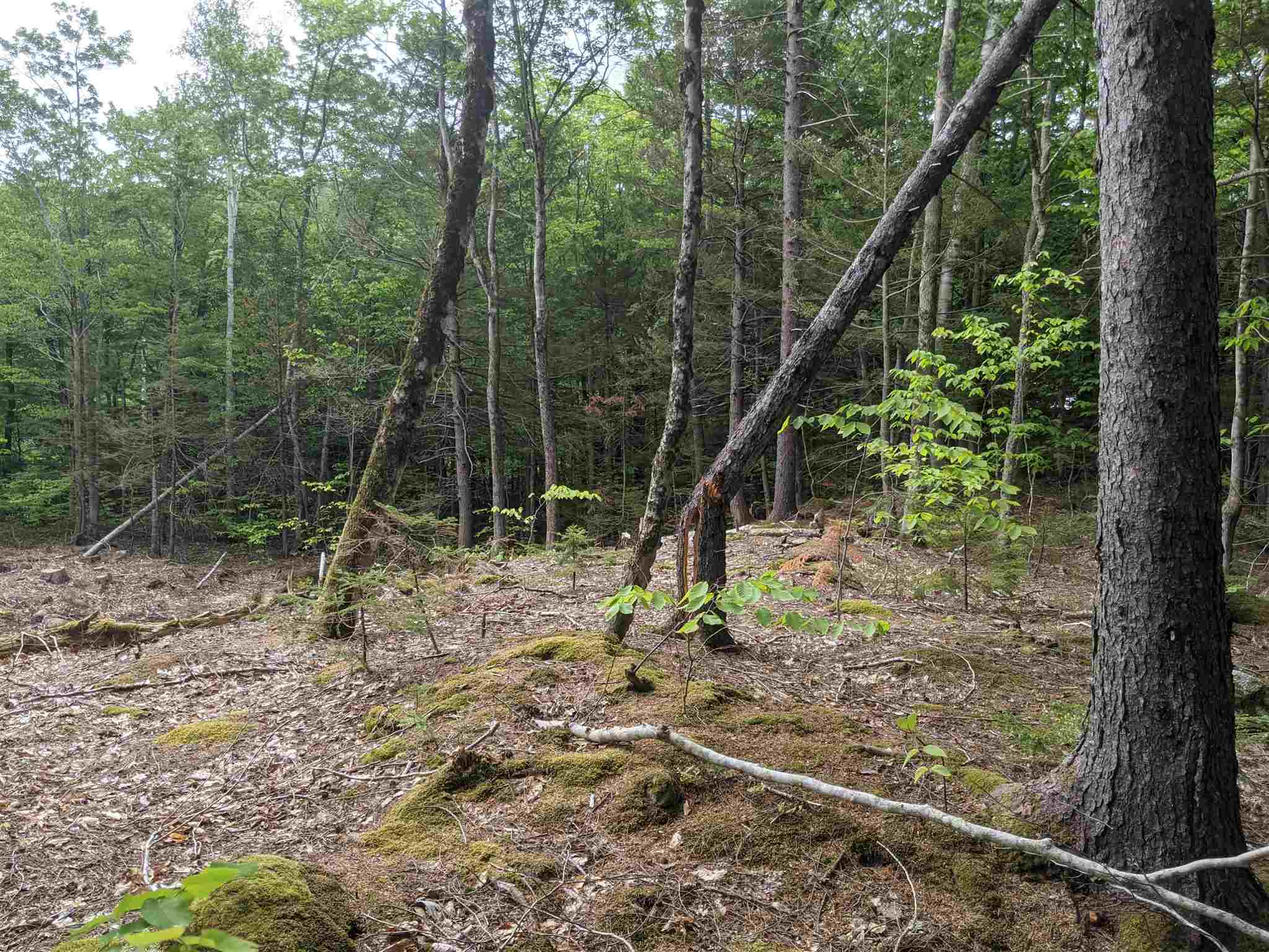 1 Whipple Drive Jackson, NH 03846 - Photo 13 of 17