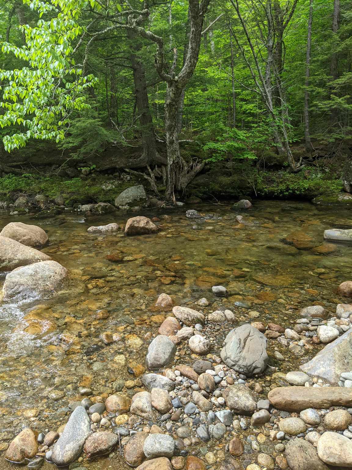 1 Whipple Drive Jackson, NH 03846 - Photo 15 of 17