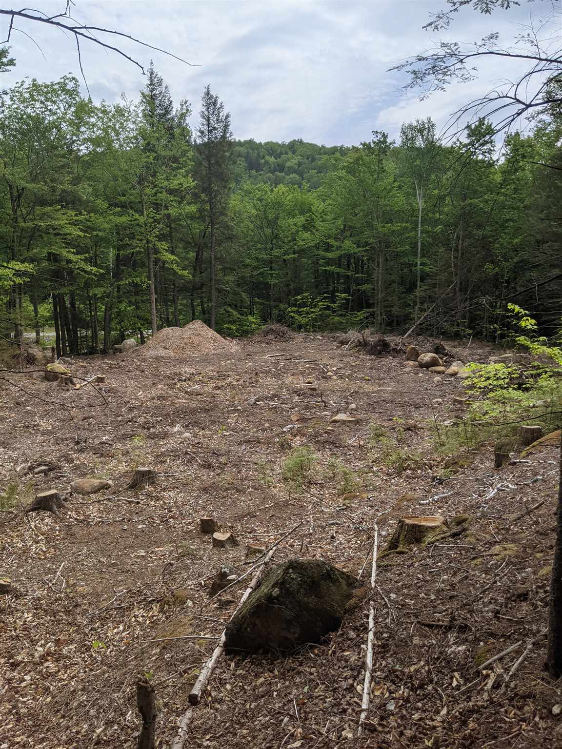 1 Whipple Drive Jackson, NH 03846 - Photo 17 of 17