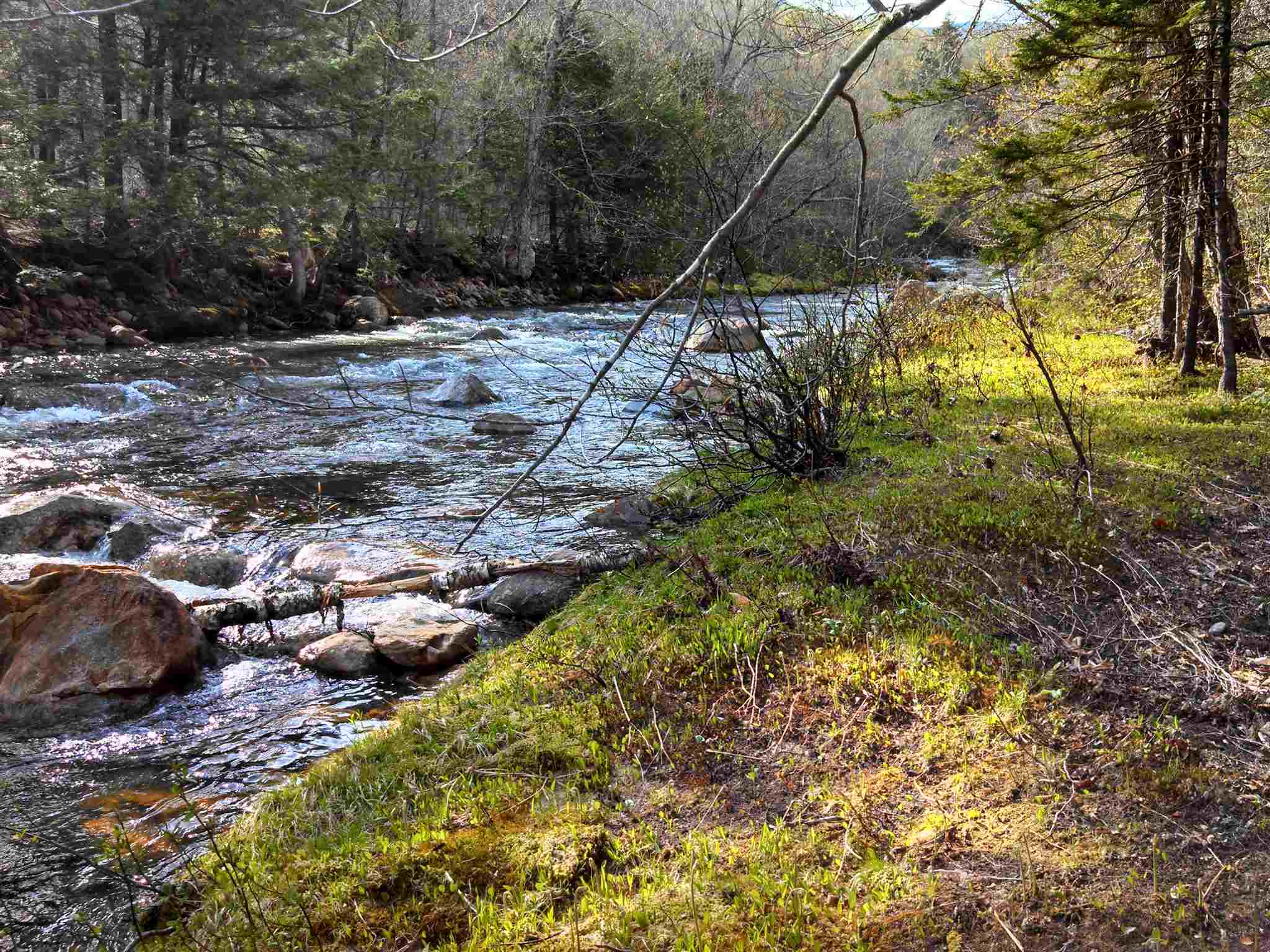 1 Whipple Drive Jackson, NH 03846 - Photo 3 of 17