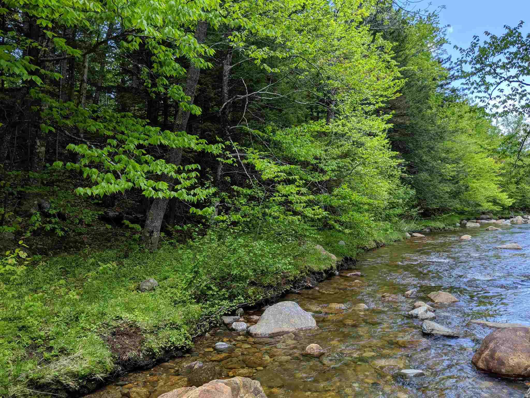 1 Whipple Drive Jackson, NH 03846 - Photo 4 of 17