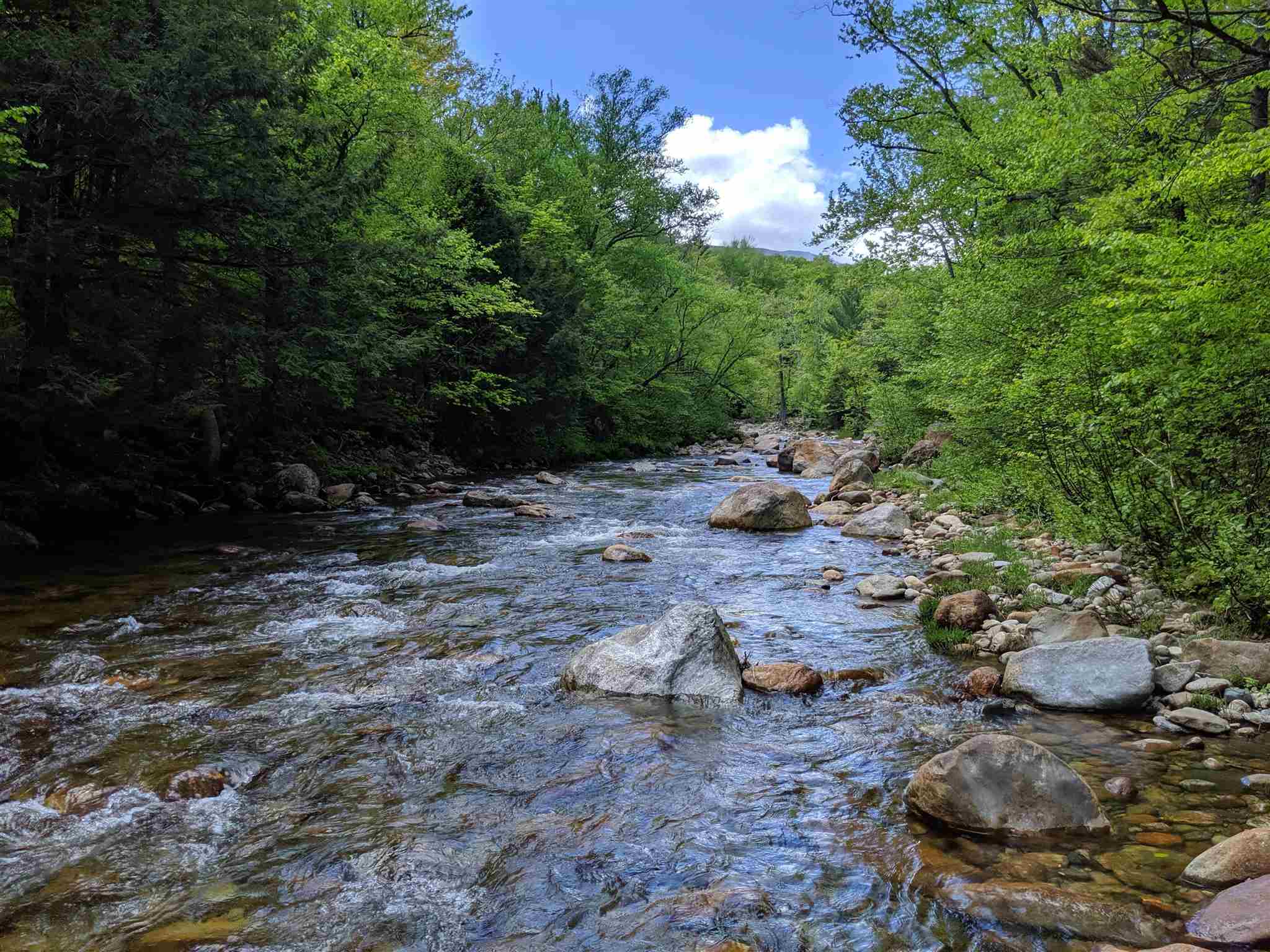 1 Whipple Drive Jackson, NH 03846 - Photo 5 of 17