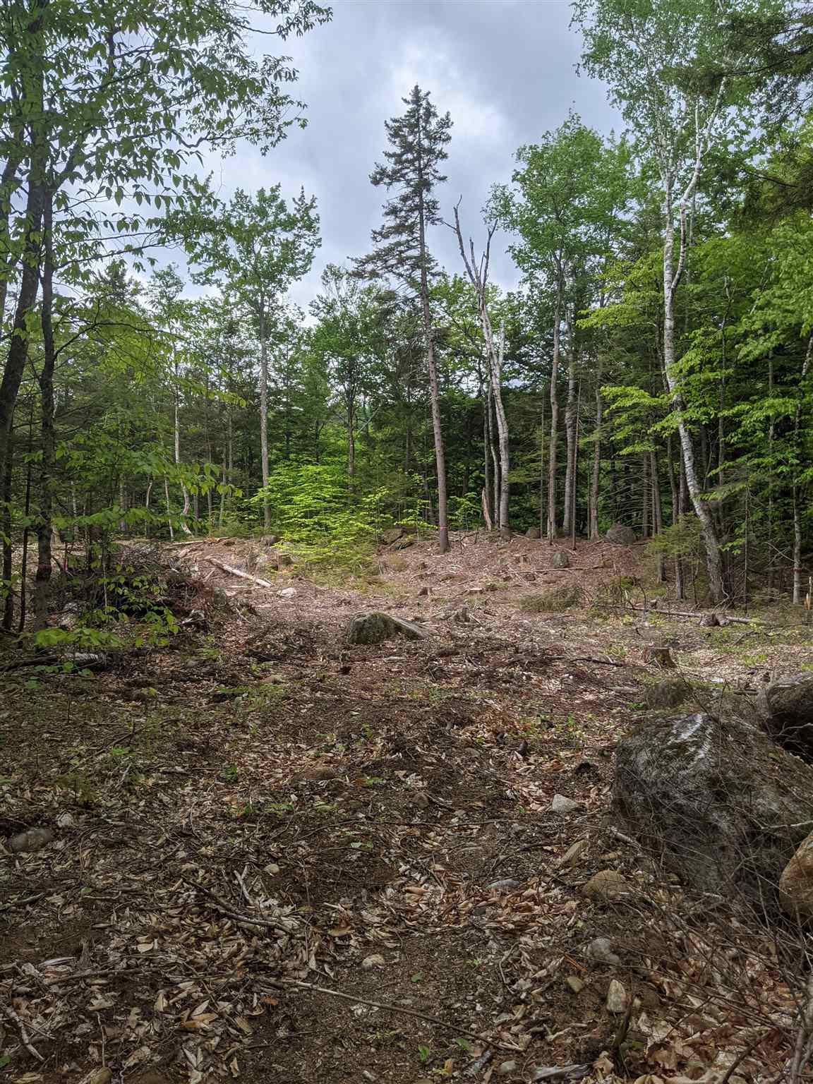 1 Whipple Drive Jackson, NH 03846 - Photo 6 of 17