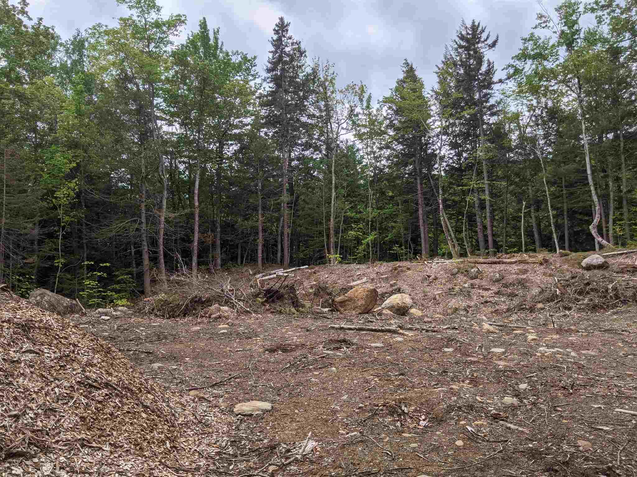 1 Whipple Drive Jackson, NH 03846 - Photo 9 of 17