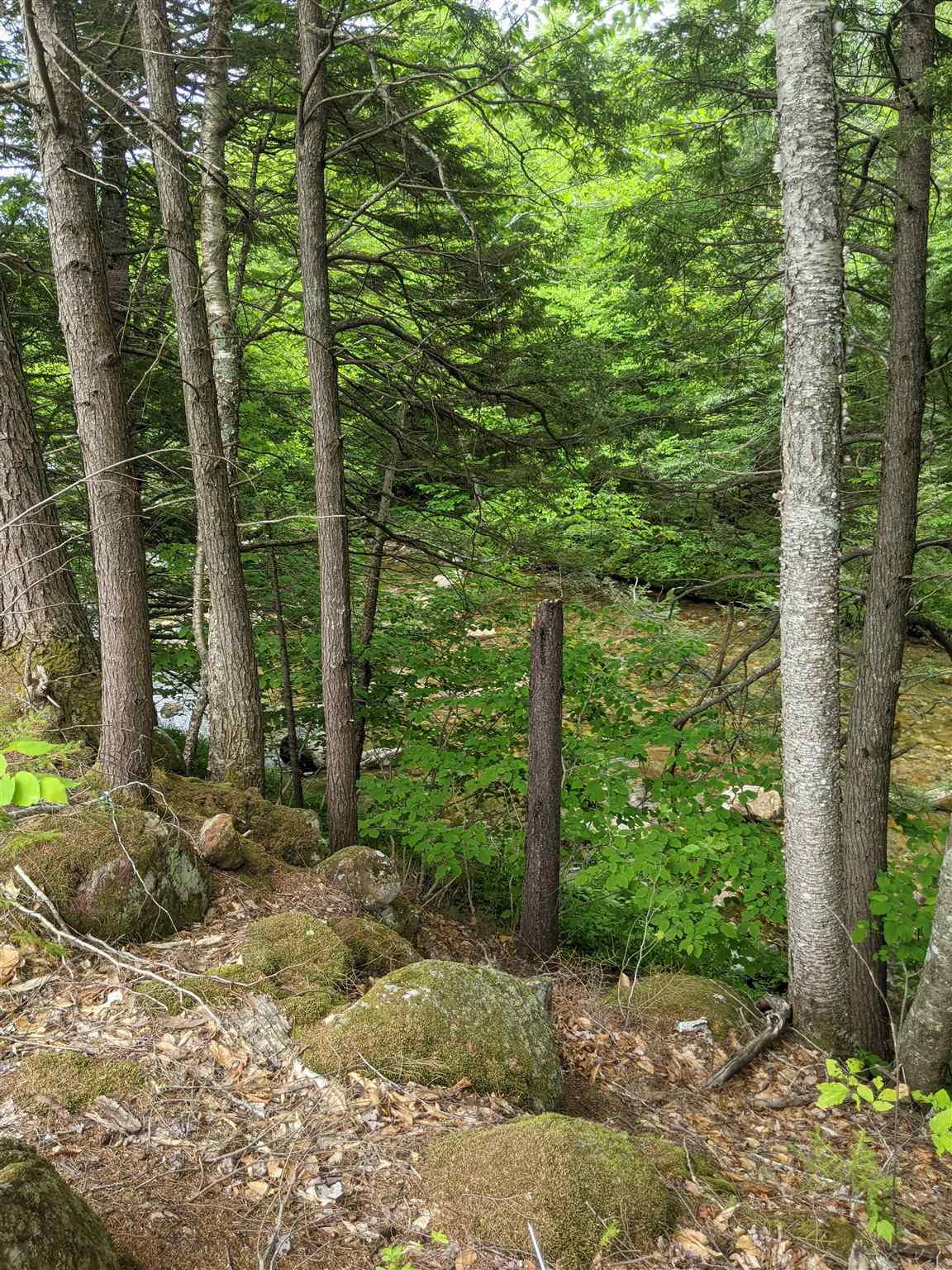 1 Whipple Drive Jackson, NH 03846 - Photo 10 of 17