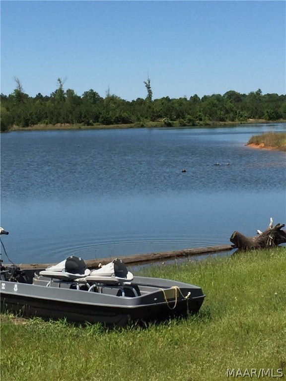 O O Naftel Road Ramer, AL 36069 - Photo 16 of 25 Gallery Image 16
